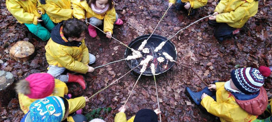 Ecole du dehors cuisiner la nature