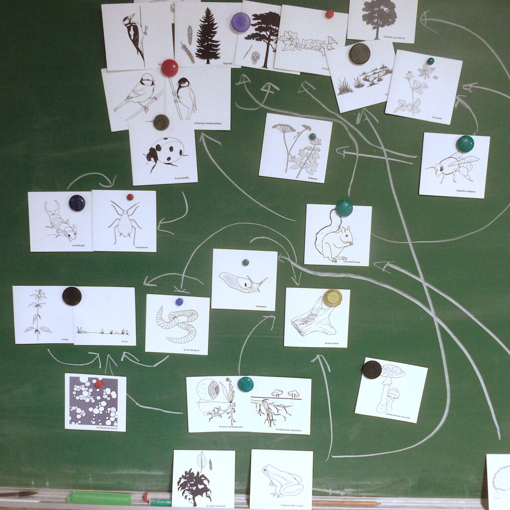 1°-pas-perma-©Tournesol