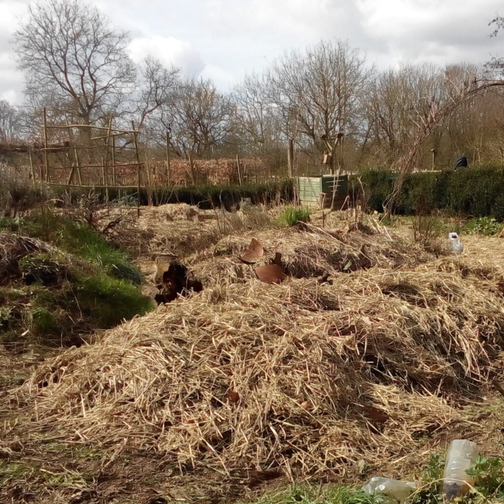 Potager_hiver-©Tournesol