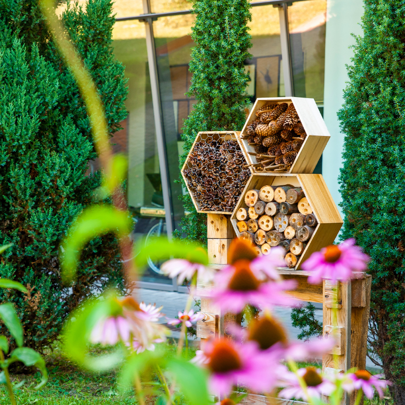 hotel-insectes ©Canopea