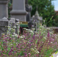 Végétalisation des cimetières