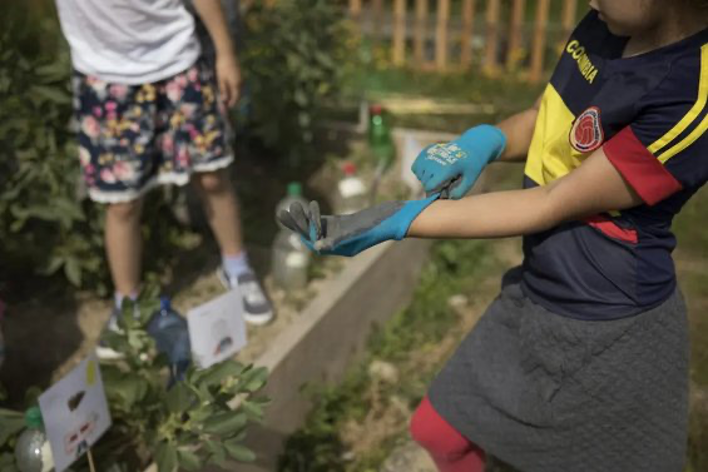 Homepage | Réseau IDée