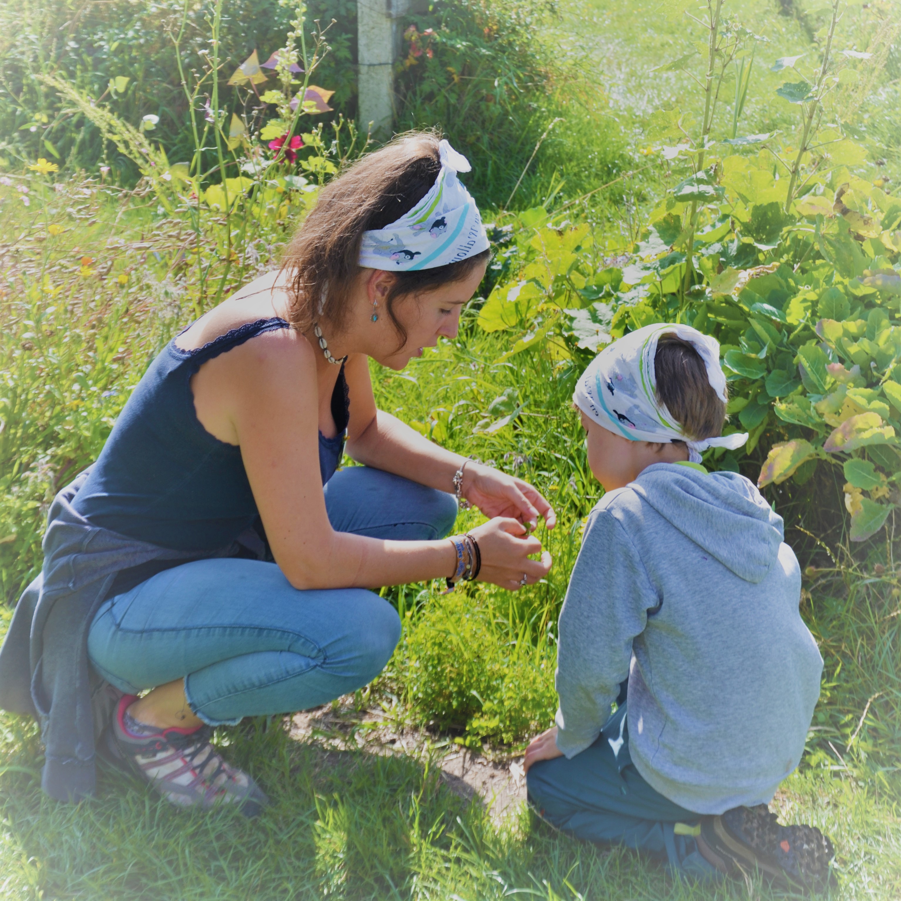 Ferme et nature | Réseau IDée