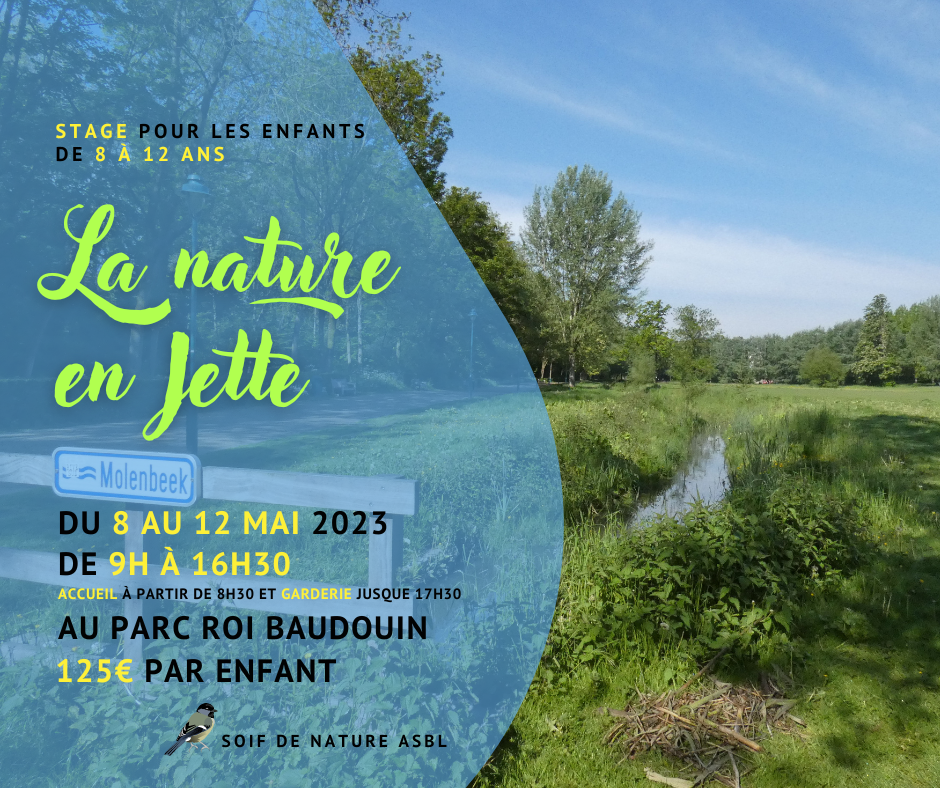 Stage nature pour enfants "La nature en Jette" du 8 au 12 mai 2021 à Jette