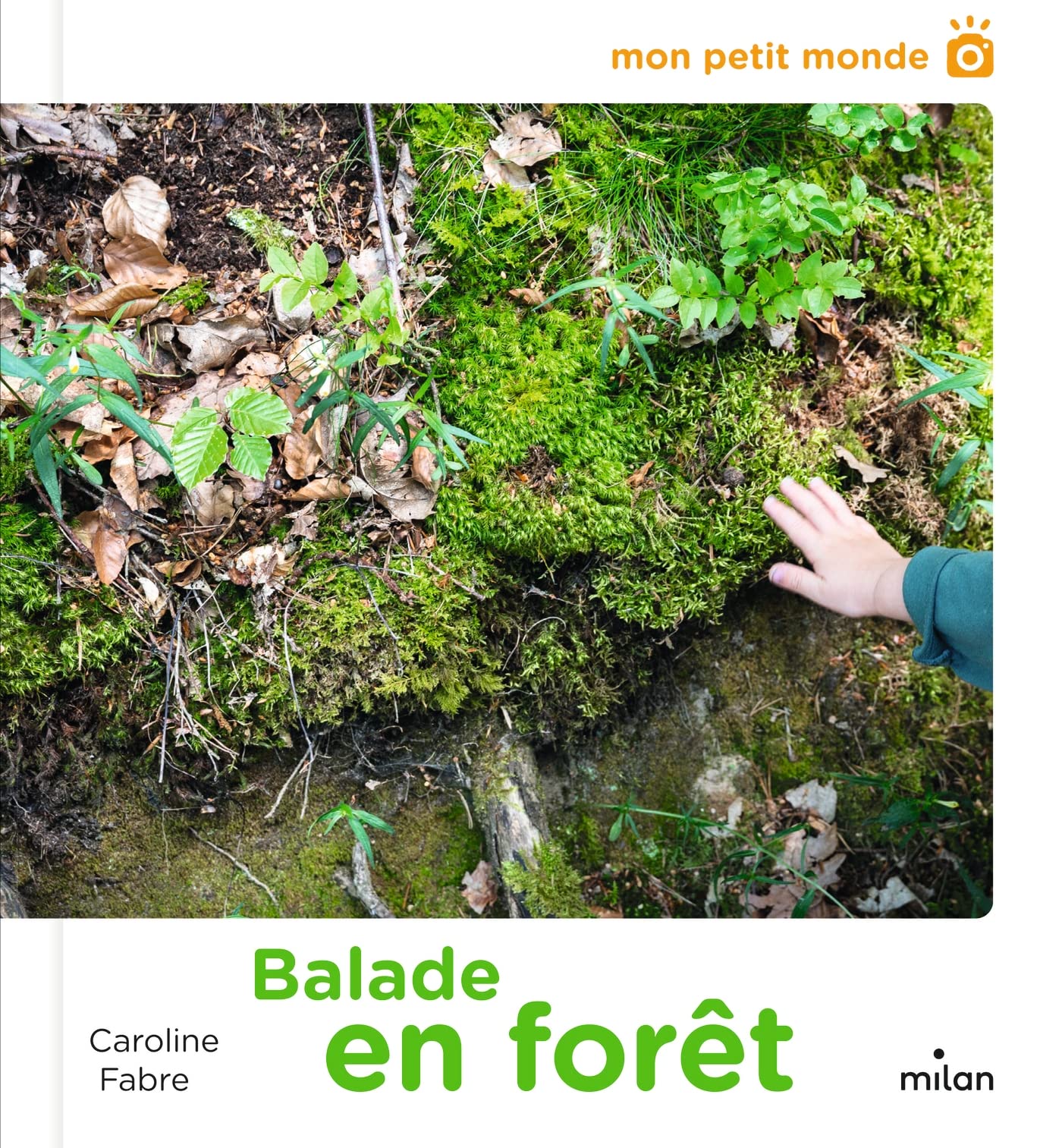 Balade en forêt