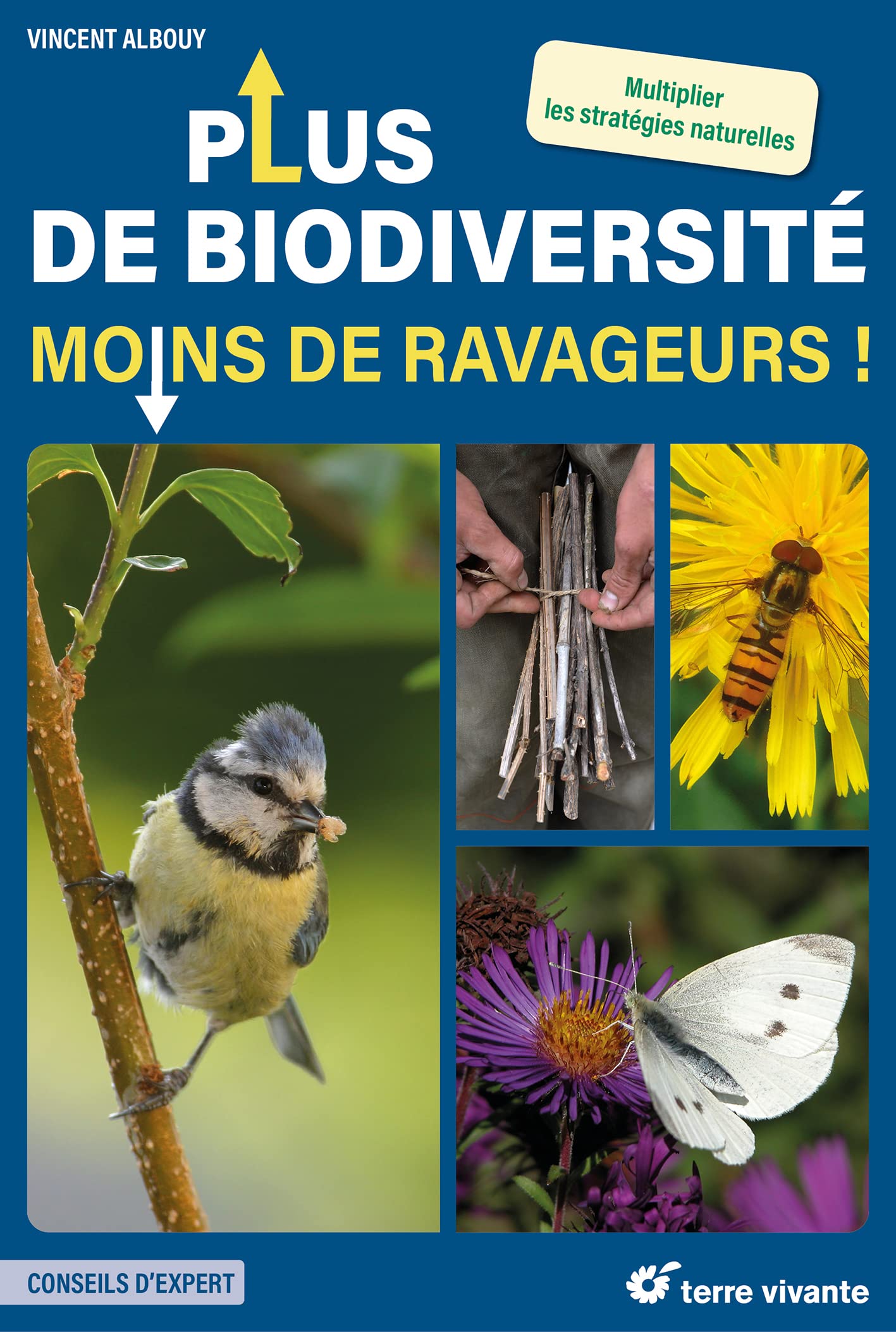 Plus de biodiversité, moins de ravageurs !