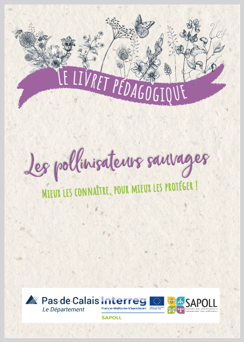 Les pollinisateurs sauvages