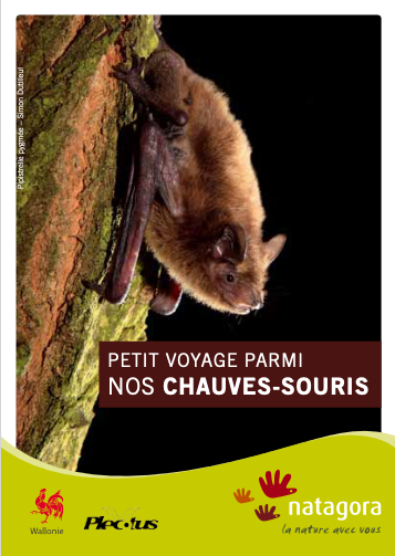 Petit voyage parmi nos chauves-souris