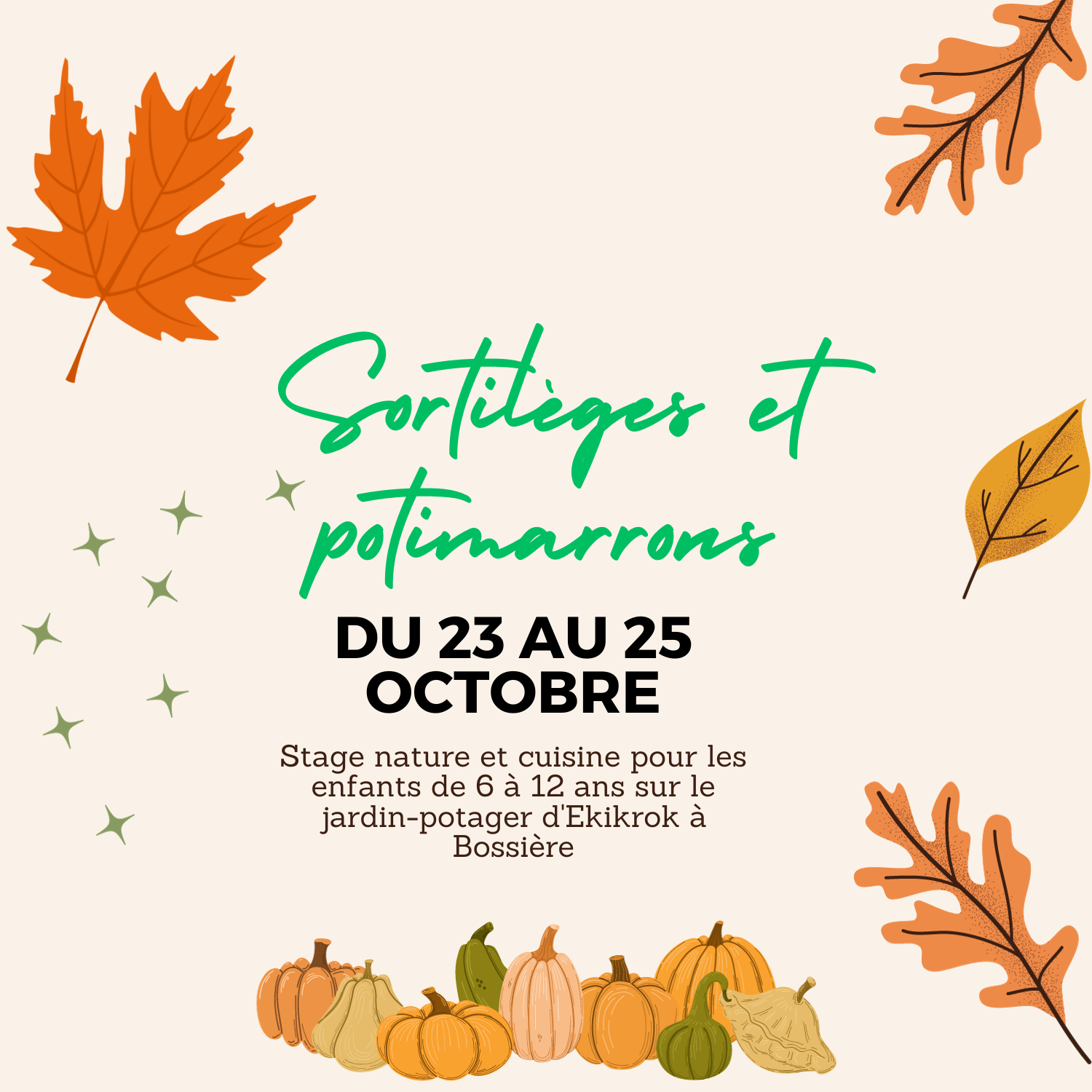 Stage d'automne à Bossière