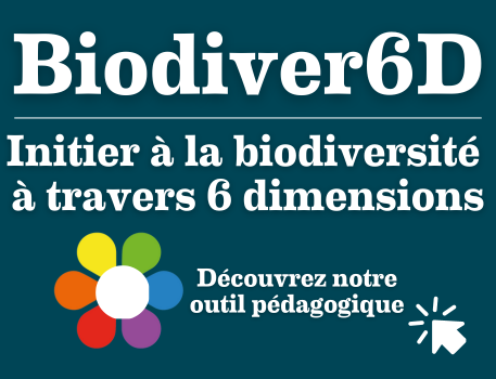 Biodiver6D