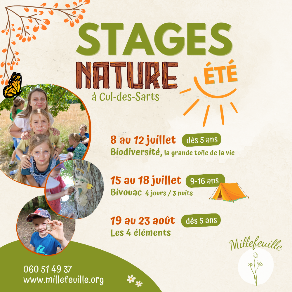 Stages à Cul-des-Sarts