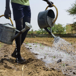 Symbioses 142 - Sénégal : gérer l’eau comme un bien commun