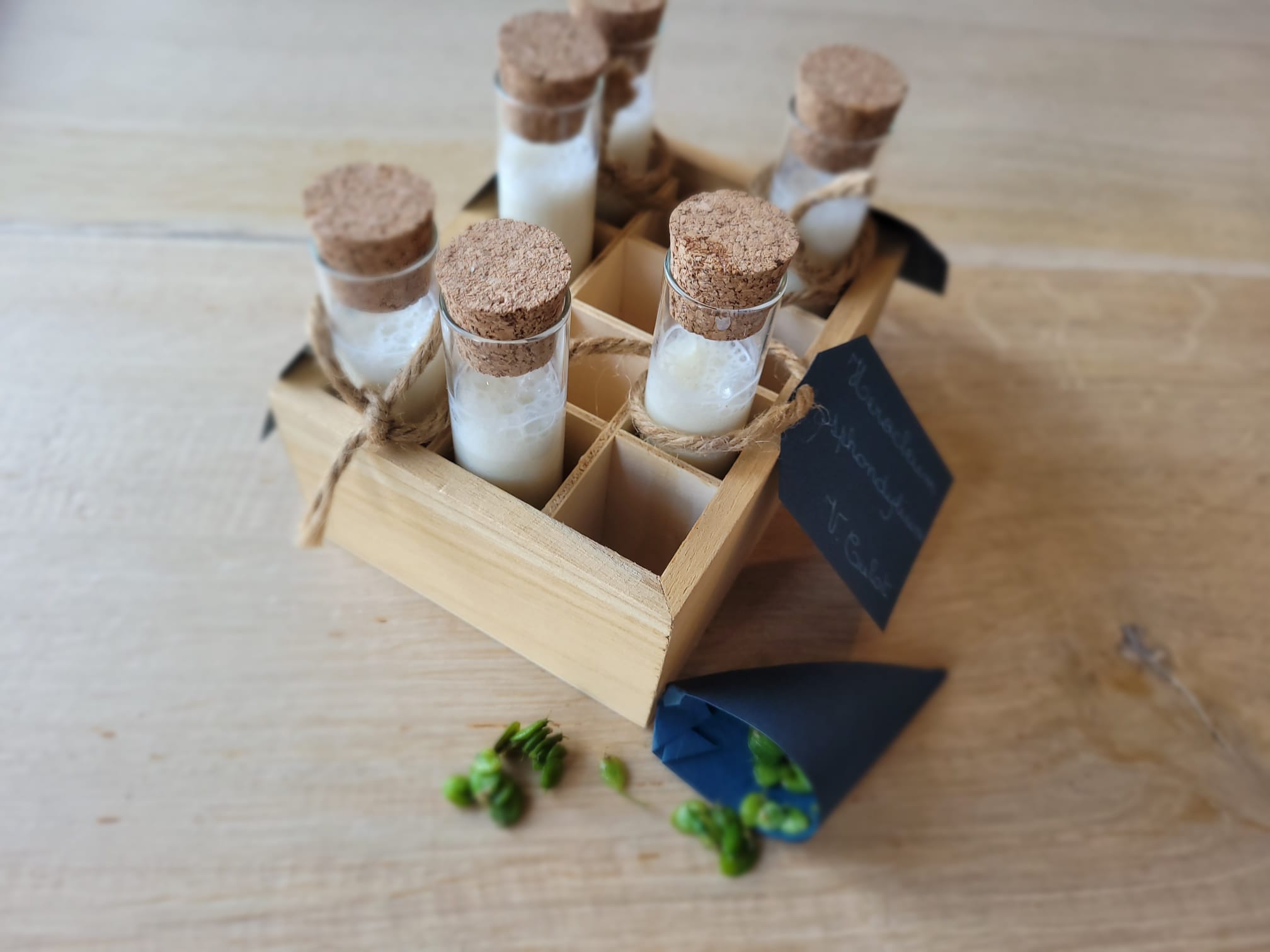 Atelier "Cocktails sauvages"