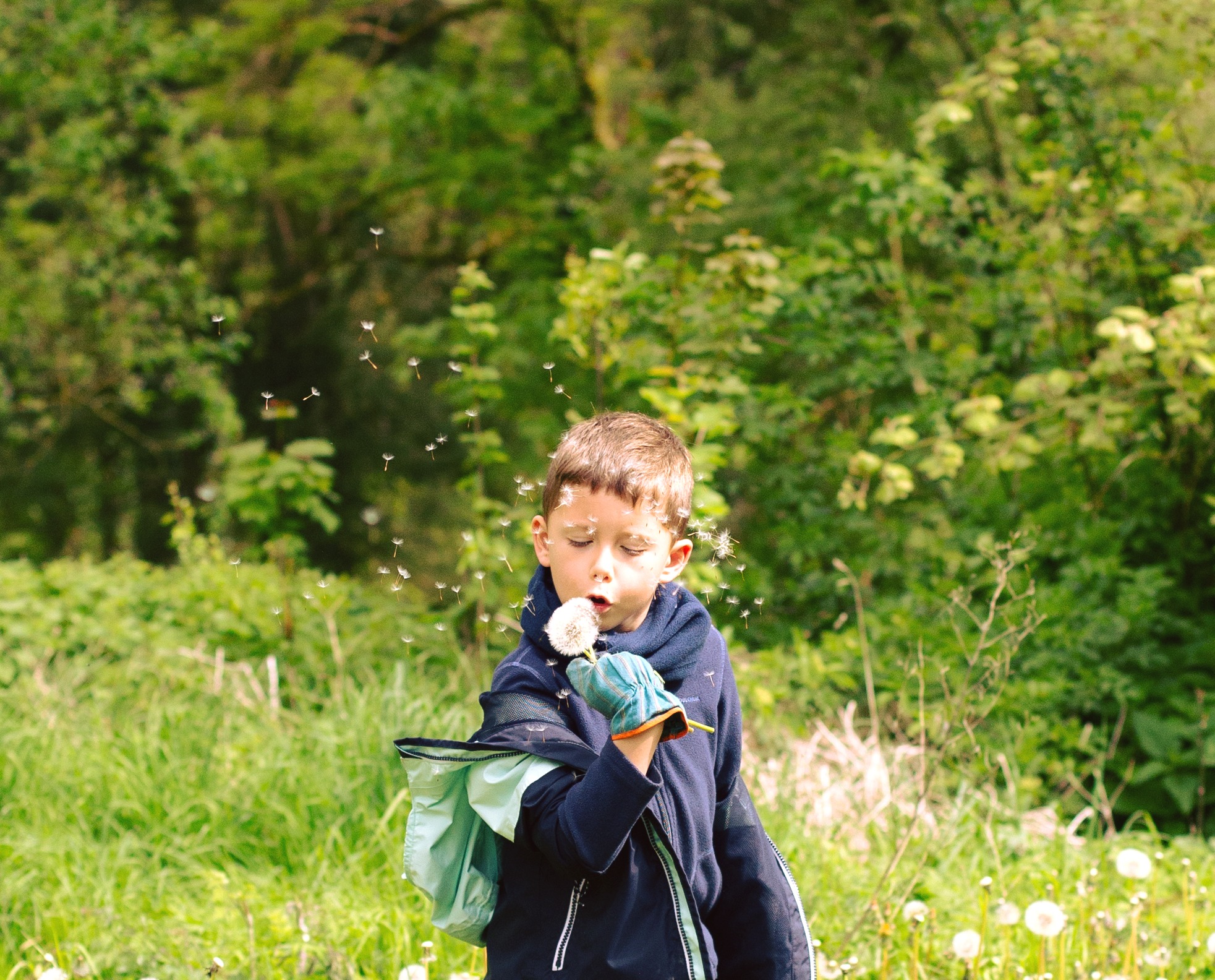 Enfant qui souffle sur un pissenlit