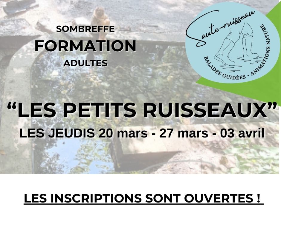 ©saute-ruisseau
