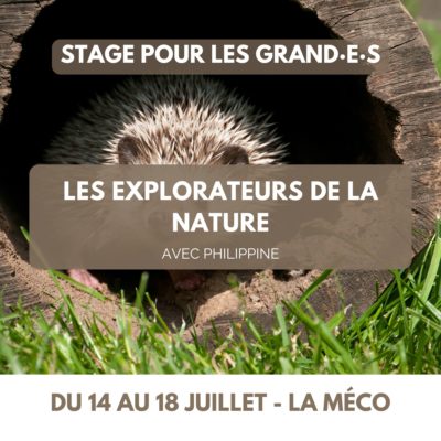 Stage été Les explorateurs de la Nature