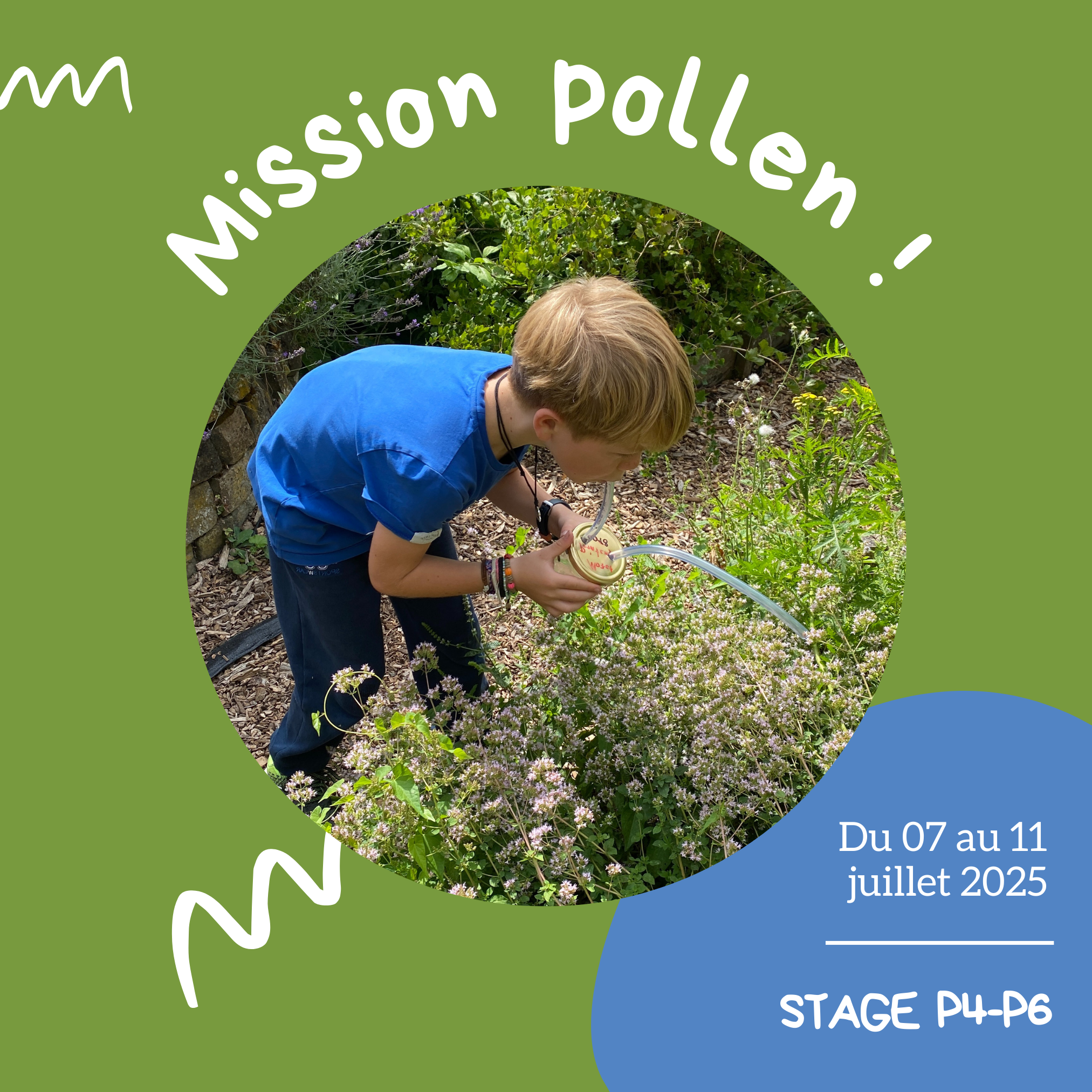 mission pollen