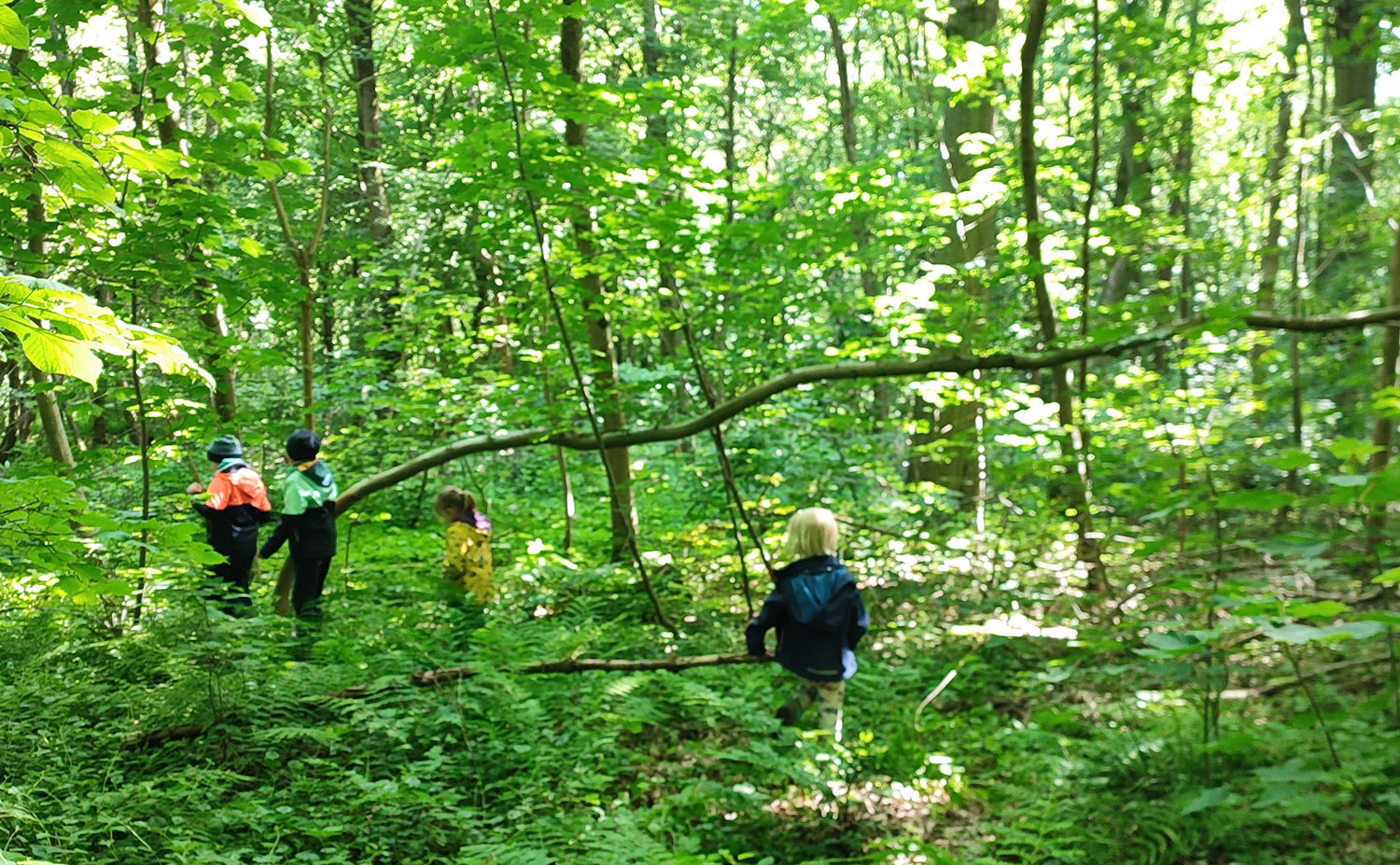 Stage nature enfants