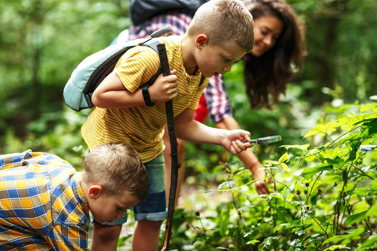 Des enfants qui observent la nature avec une loupe