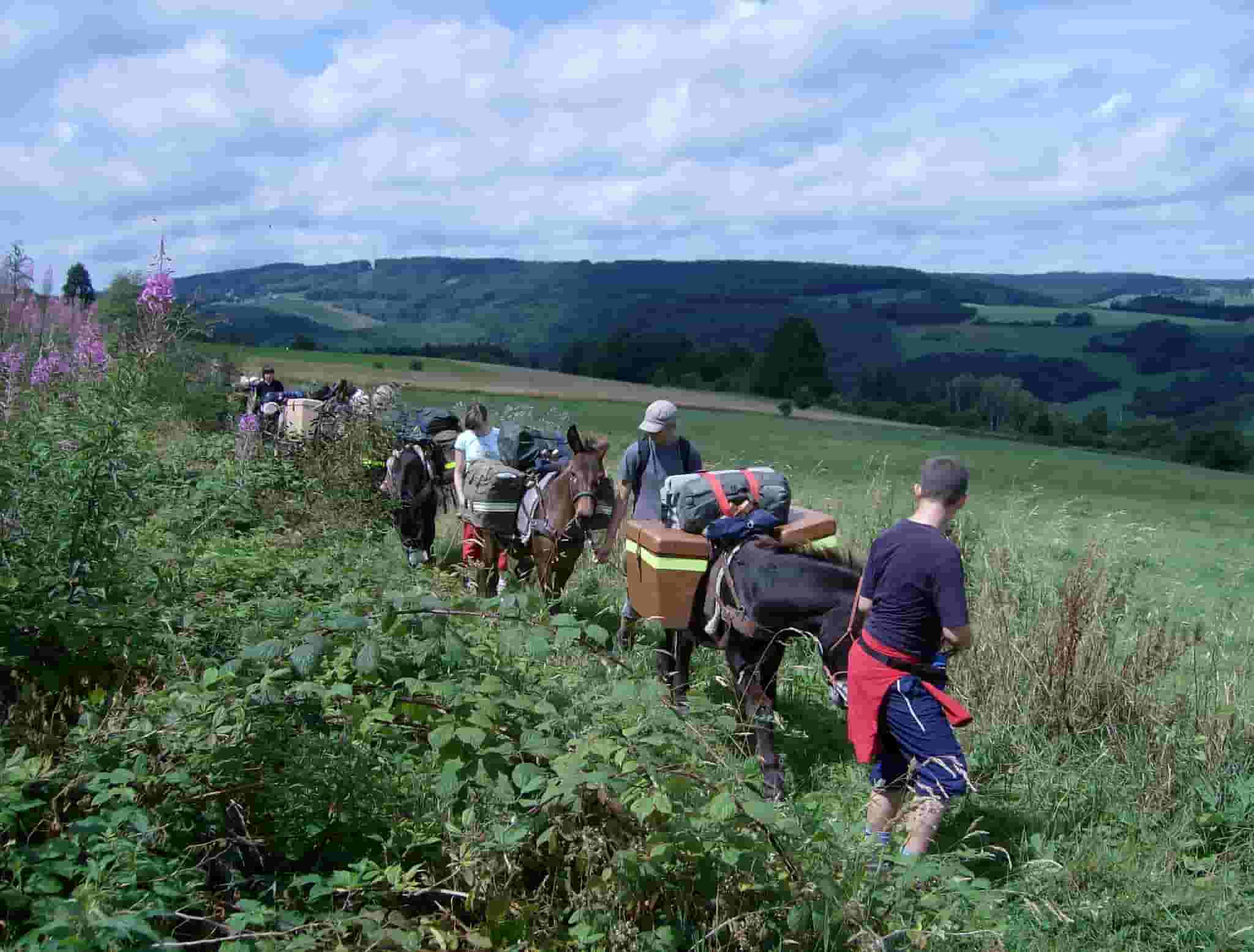 Randonnée avec ânes bâtés