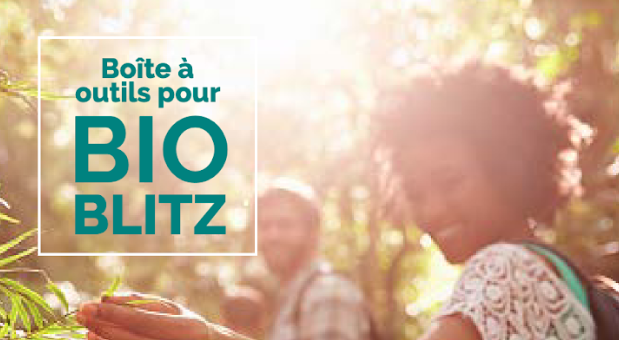 Boite à outils Bioblitz