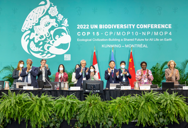 COP15 UN Biodiversity julianhaber.com