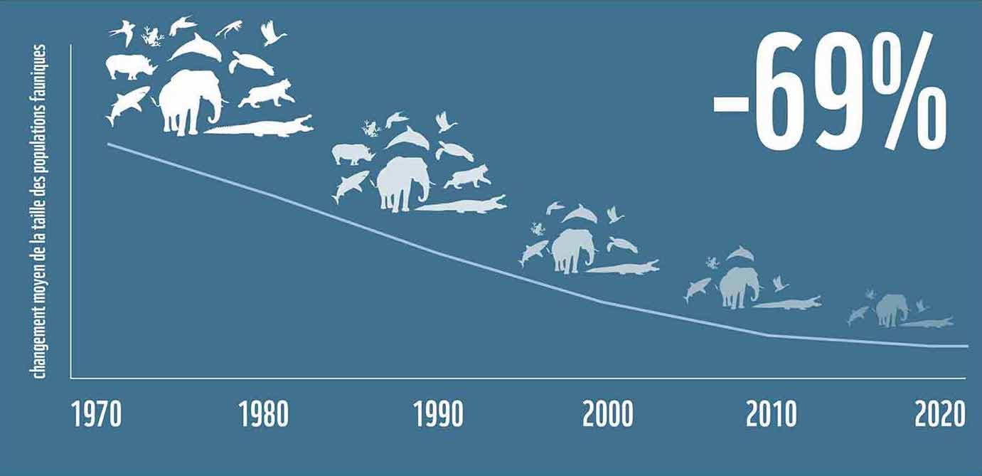 Le déclin des populations est un indicateur d'alerte précoce de la santé globale de l'écosystème.