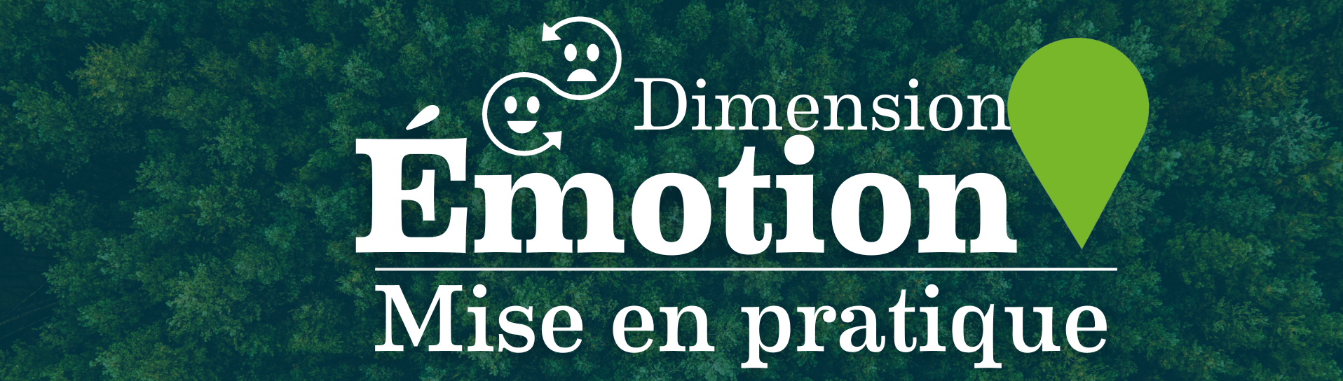 Dimension Emotion mise en pratique