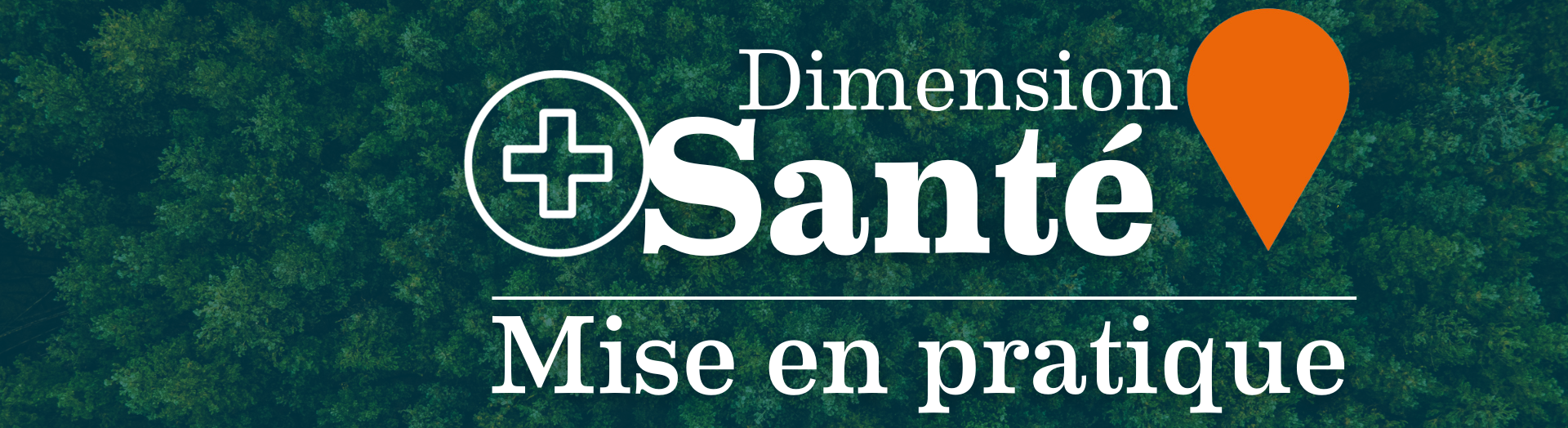 Dimension Santé mise en pratique