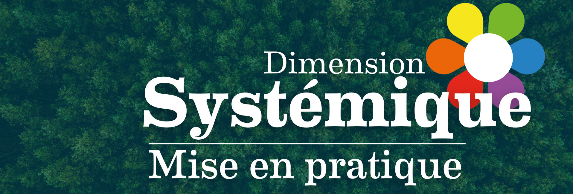 Dimension Systémique mise en pratique