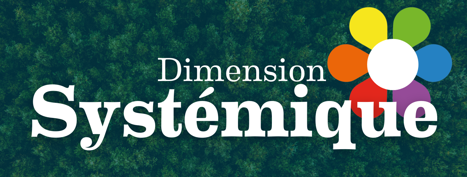 Biodiver6D dimension Systémique