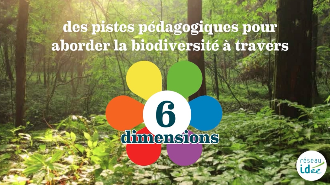 Découvrez les 7 approches pour initier à la biodiversité