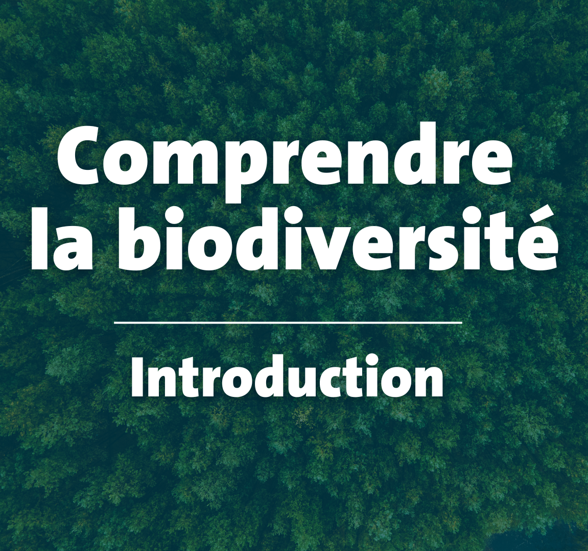 Introduction à la biodiversité