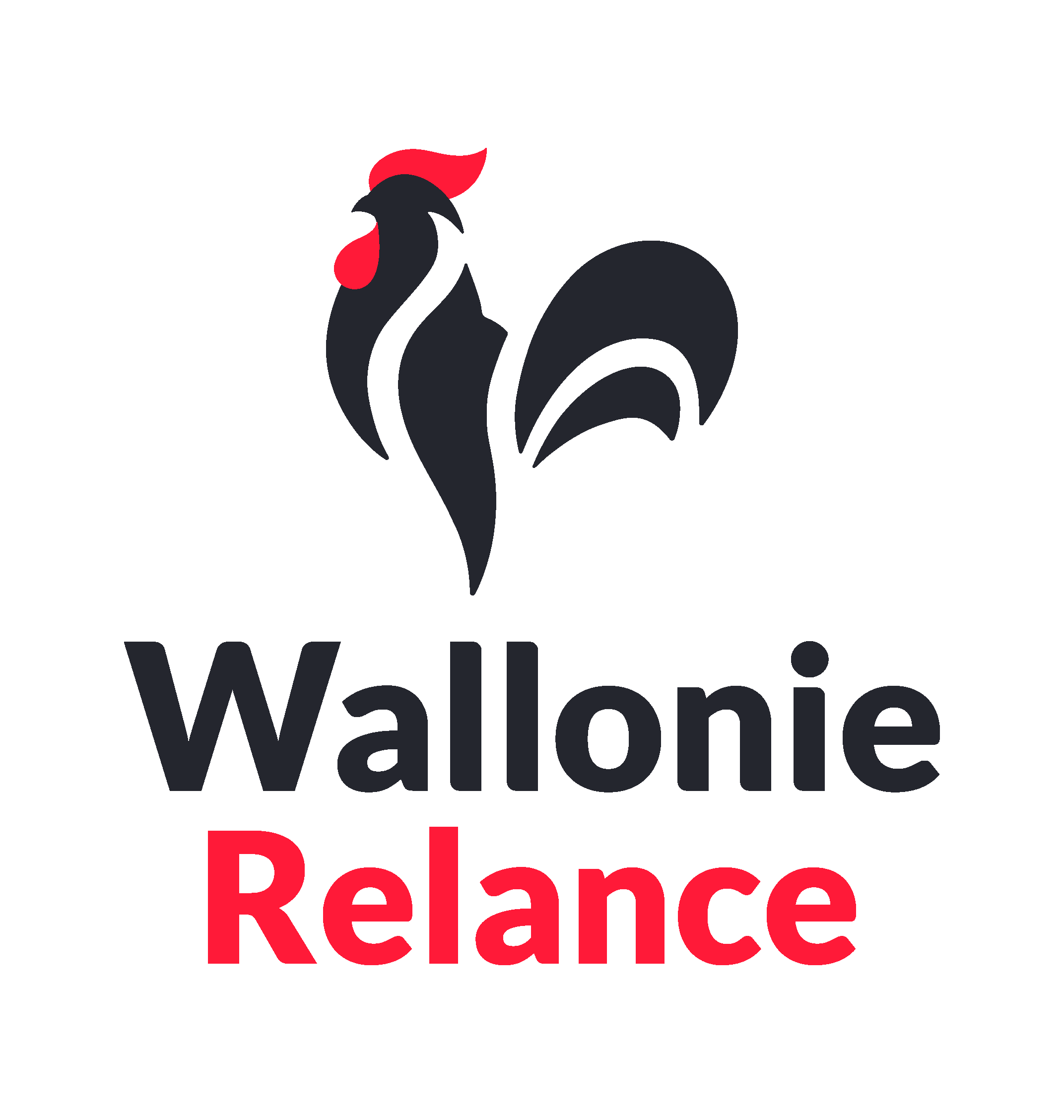 Wallonie environnement SPW