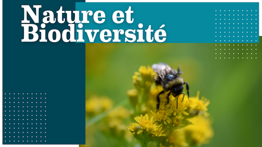 Nature et Biodiversité
