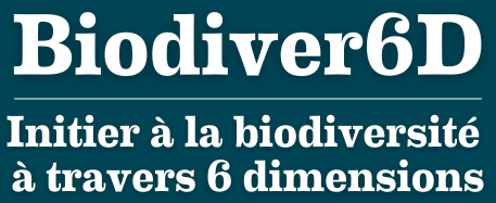 biodiver6D