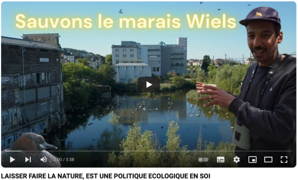 Sauvons le marais Wiels