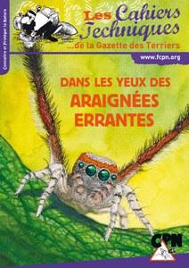 Dans les yeux des araignées