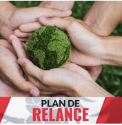 plan-de-relance-formations-ere