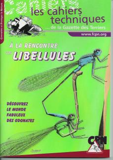 À la rencontre des libellules