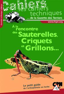 À la rencontre des sauterelles, criquets et grillons