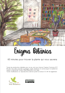 Enigma Botanica