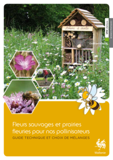 Fleurs sauvages et prairies fleuries pour nos pollinisateurs