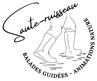 logo-saute-ruisseau