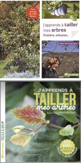 tailler arbres