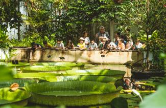 Atelier éducatif au Jardin botanique de Meise