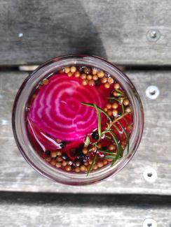 Pickles de betterave
