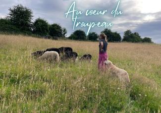 Au coeur du troupeau