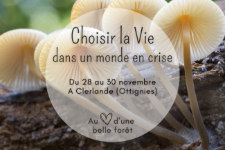 Choisir la Vie