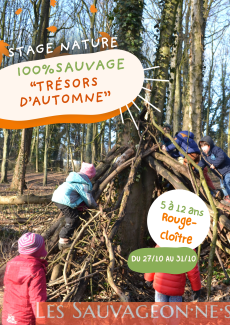 affiche stage automne